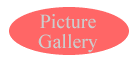Picture Gallery